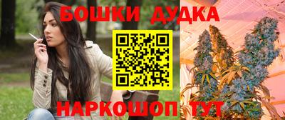 СК Донецк
