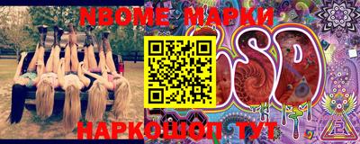 кокс Донской