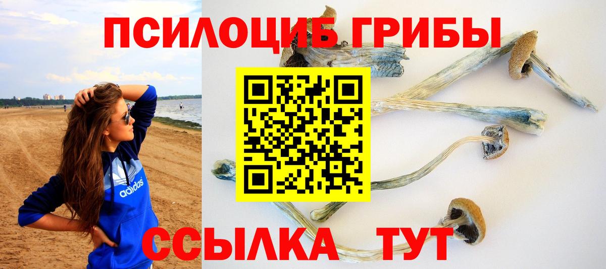 Мичуринск  Псилоцибиновые грибы мицелий  Вход с VPN 